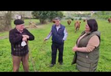 Entrevista a Luis Mallada y Paulino Alonso, de Soto de Ribera