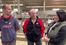 Entrevista a Francisco y Jairo Huerdo, Ganadería Llanogerrán de Inguanzo (Cabrales)