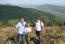 Medio Rural destaca la importancia de los desbroces y la regeneración de pastos para la prevención de incendios