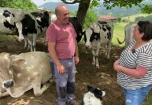 Entrevista a Gaspar Llerandi, ganadero de producción ecológica de Llames de Parres