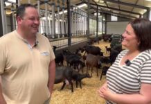 Entrevista a Aurelio López de Quesería Picu Urriellu / El Campo de Asturias