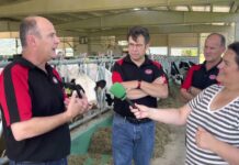 Entrevista en SAT Indelante en Secadura, municipio de Voto (Cantabria)