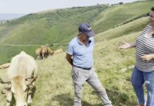 Entrevista a José Manuel Berdasco, Casa Peire de Fonceca (Cangas del Narcea)