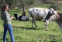 María Fdez., directora de ALECA: “Las políticas agrarias europeas nos encaminan a un modelo ecológico sostenible”