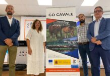 Desarrollo de estrategias innovadoras para la producción de carne de potro de calidad