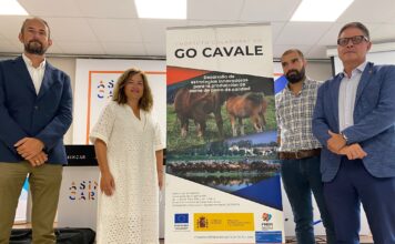 Desarrollo de estrategias innovadoras para la producción de carne de potro de calidad