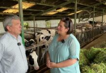 Entrevista a Alfonso Martino de Ganadería Tresvalles de Pillarno (Castrillón)