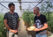 Entrevista a César García, agricultor de producción ecológica en Finca La Fuelga