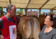 Entrevista a Abel Fdez., ganadero de Las Caldas (Oviedo) sobre el concurso de Piedeloro