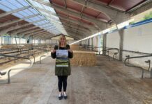 337 animales participan en la XXXVII Muestra Ganadera Local de la Raza Asturiana de los Valles de Cangas del Narcea