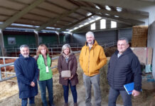 El Gobierno de Asturias apoya con 13,8 millones la incorporación de 240 jóvenes a la actividad agraria