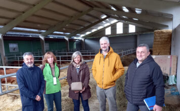 El Gobierno de Asturias apoya con 13,8 millones la incorporación de 240 jóvenes a la actividad agraria