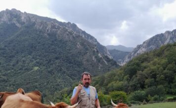 Caso apuesta por el sector ganadero con uno de los concursos más antiguos de Asturias