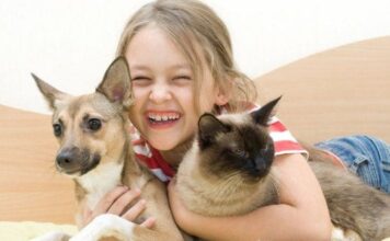 Veterinarios voluntarios ofrecerán charlas en colegios sobre el cuidado de mascotas