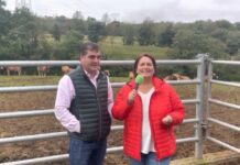 Entrevista a Nino Rodríguez, presidente de ASEAMO