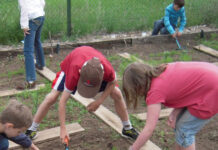 El COPAE se une a la segunda edición del Concurso regional de agricultura ecológica y saludable en el ámbito escolar