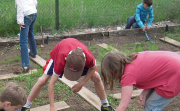 El COPAE se une a la segunda edición del Concurso regional de agricultura ecológica y saludable en el ámbito escolar