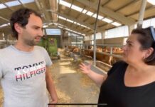 Entrevista a Rubén Fernández de Ganadería Casa Xinrón de Semellón de Abajo (Tineo)