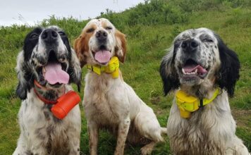 Canun, la apuesta segura de Suroccidente Agrícola en temporada de caza