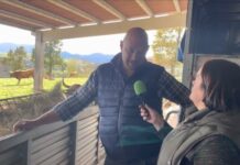 Entrevista a Pablo Fernández, ganadería Casa Marcelino de Zarracín (Tineo)