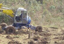 La importancia de los Proyectos de Ordenación y Planes Técnicos de Gestión Forestal