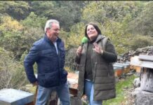 Entrevista a Celedonio Santiago Iglesias de Miel El Cortín de Recorba (Tineo)