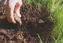 Nace SOILBIO, un proyecto que investigará los efectos del manejo agrícola de los suelos sobre su biodiversidad