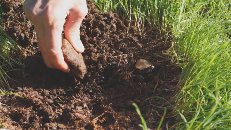 Nace SOILBIO, un proyecto que investigará los efectos del manejo agrícola de los suelos sobre su biodiversidad