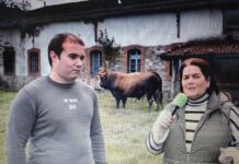 Entrevista a Andrés Regueiro de Ganadería Regueiro de Vega del Ciego (Lena)