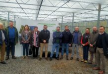 El Principado pone en marcha un programa para fomentar la cultura forestal con la entrega de 20.000 árboles autóctonos