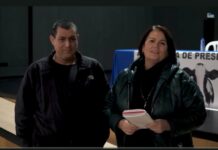 Entrevista a Jordi Tost, director técnico de GAV-ALLFEED® SL