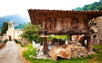 3 millones de euros para apoyar proyectos de innovación que dinamicen el medio rural