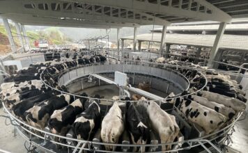 GEA instala la primera sala de ordeño rotativa semi robotizada de 50 puntos en Asturias