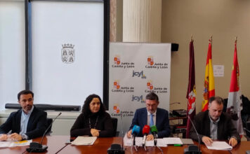 La estimación poblacional de oso pardo calcula unos 370 ejemplares en la cordillera Cantábrica