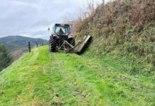 El Ayuntamiento de Tineo recepciona los desbroces de 72 kilómetros de caminos en cinco concentraciones parcelarias