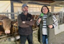 Entrevista a Celso Fernández Queipo de Ganadería Casa Tronca de Santullano (Allande)