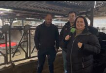 Entrevista a Pedro Naredo, de Ganadería Naredo de Los Villares (Cabranes)