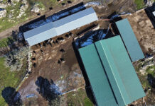 UPA valora la aprobación del decreto de granjas vacunas y pide al MAPA una apuesta firme por la ganadería familiar