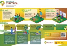 Cuatro jóvenes acudirán a Asturias a través del Programa de Estancias formativas Cultiva 22