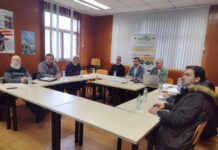 Medio Rural confirma la estabilización de la presencia de la avispa asiática en Asturias