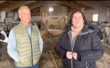 José Entrevista a Antonio Rodríguez de Ganadería Casa Colao de Fastias (Tineo)