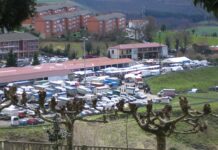 Tineo celebra el domingo la tradicional feria ganadera de San José y Agrocasión