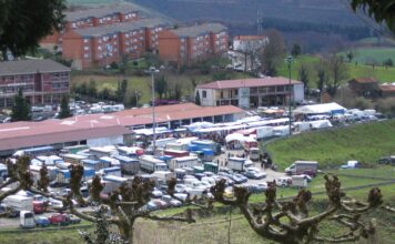 Tineo celebra el domingo la tradicional feria ganadera de San José y Agrocasión