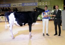 El balear Llorenç Bosch Pons gana el XXXVI Concurso Internacional de Jóvenes Manejadores de Frisón en la feria Abanca Cimag-GandAgro 2023
