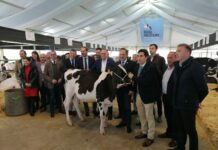 La Feria de Ganado Frisón “Usías Holsteins” aumenta el número de ganaderías y de animales participantes