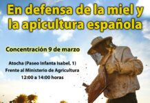Catástrofe apícola: gran concentración en Madrid en defensa de la miel y la apicultura española