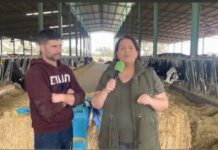 Entrevista a David Madueño de Ganadería Vistahermosa de Dos Torres (Córdoba)