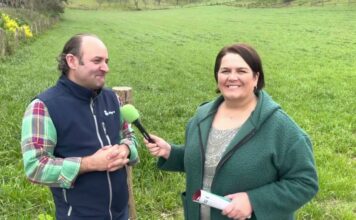 Entrevista a Dani Baizán, técnico de campo de DELAGRO sobre Bisannia Pradera Pastoreo