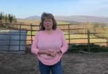 COAG Asturias denuncia un nuevo ataque de lobo a un potro cerca de Villazón (Salas)