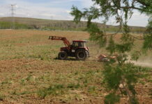 El Gobierno publica la orden de módulos con una rebaja mínima del 25% en el IRPF 2022 para 10.700 agricultores y ganaderos asturianos